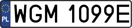 WGM1099E