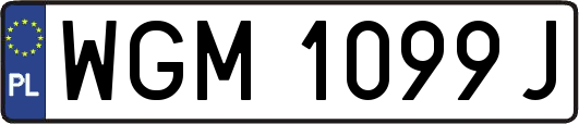 WGM1099J