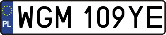 WGM109YE