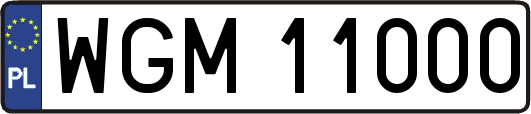 WGM11000