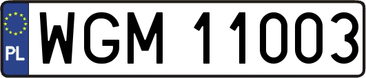 WGM11003