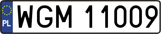 WGM11009