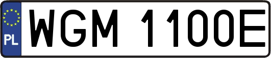 WGM1100E