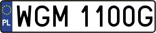 WGM1100G