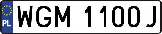 WGM1100J