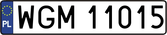 WGM11015