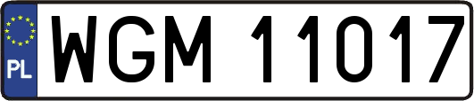 WGM11017