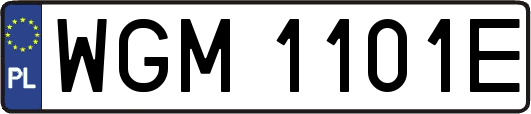 WGM1101E