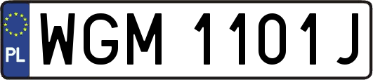 WGM1101J
