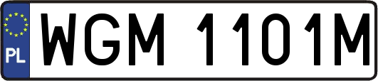 WGM1101M