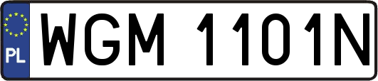 WGM1101N