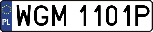 WGM1101P