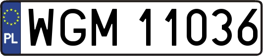 WGM11036