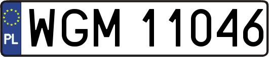 WGM11046