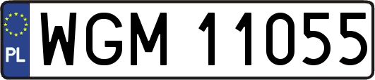 WGM11055