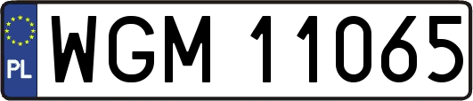 WGM11065