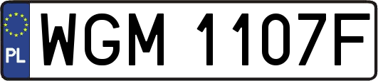 WGM1107F
