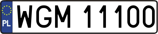 WGM11100