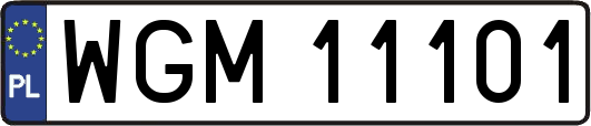 WGM11101