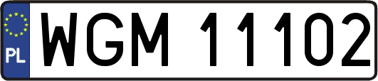 WGM11102