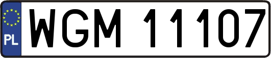 WGM11107