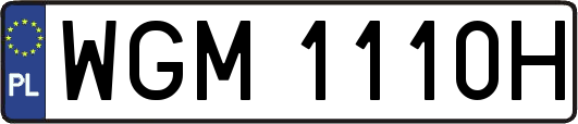 WGM1110H