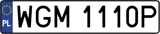WGM1110P
