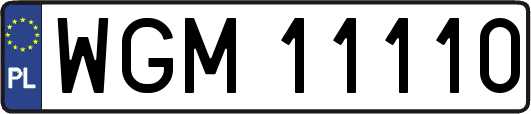 WGM11110