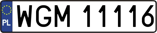 WGM11116