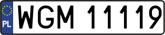 WGM11119