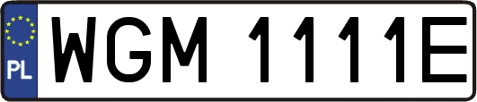 WGM1111E