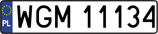 WGM11134