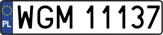 WGM11137
