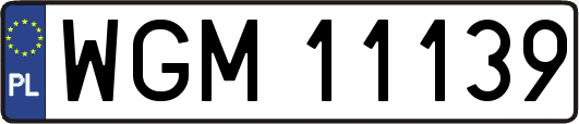 WGM11139