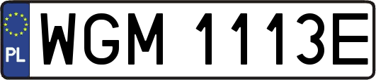 WGM1113E