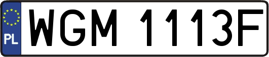 WGM1113F