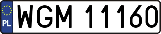 WGM11160