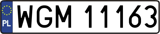 WGM11163