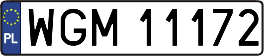 WGM11172