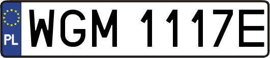 WGM1117E