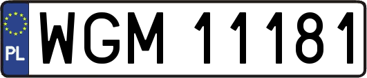 WGM11181