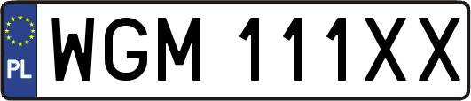 WGM111XX