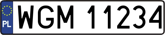 WGM11234