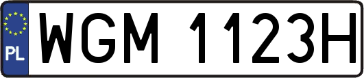 WGM1123H