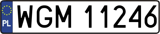 WGM11246