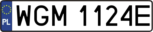 WGM1124E