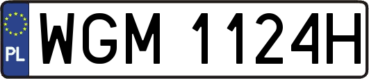 WGM1124H