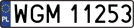 WGM11253