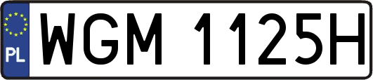 WGM1125H