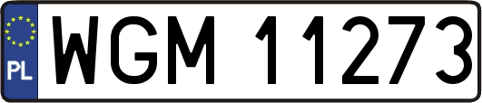 WGM11273